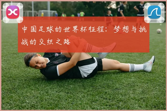 中国足球的世界杯征程:梦想与挑战的交织之路