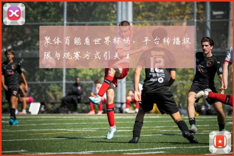 聚体育能看世界杯吗，平台转播权限与观赛方式引关注