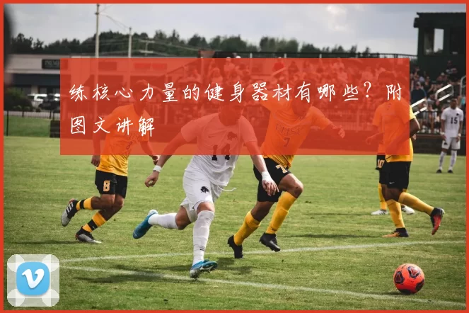 练核心力量的健身器材有哪些？附图文讲解
