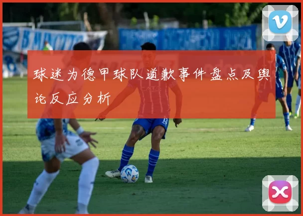 球迷为德甲球队道歉事件盘点及舆论反应分析