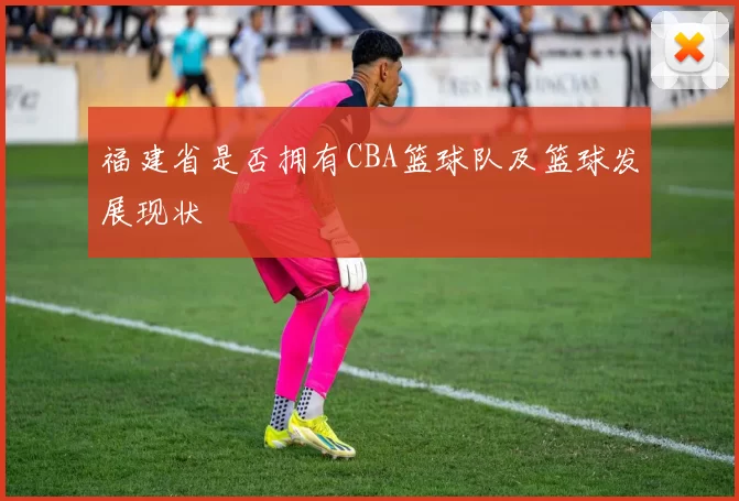 福建省是否拥有CBA篮球队及篮球发展现状
