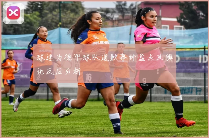 球迷为德甲球队道歉事件盘点及舆论反应分析