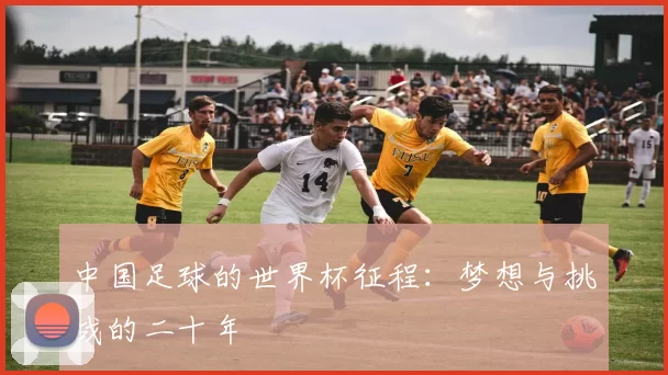 中国足球的世界杯征程:梦想与挑战的二十年