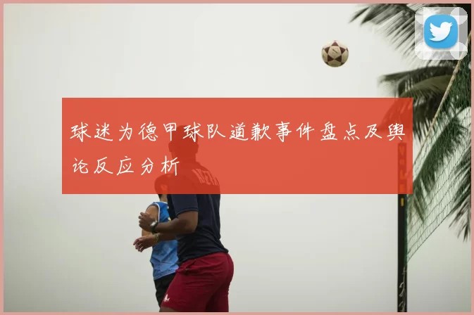 球迷为德甲球队道歉事件盘点及舆论反应分析