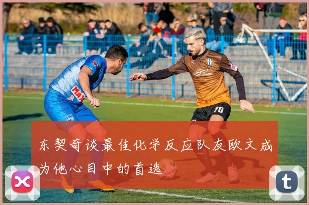 东契奇谈最佳化学反应队友欧文成为他心目中的首选