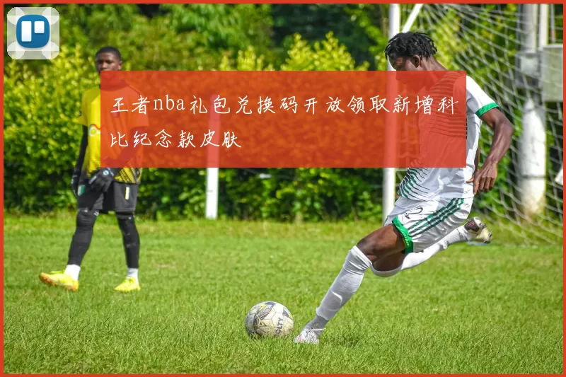 王者nba礼包兑换码开放领取新增科比纪念款皮肤