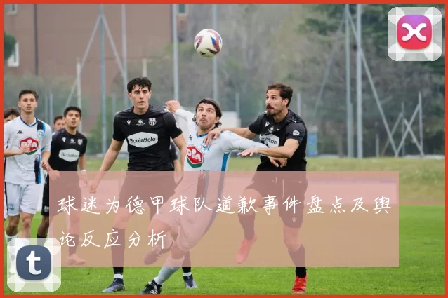 球迷为德甲球队道歉事件盘点及舆论反应分析