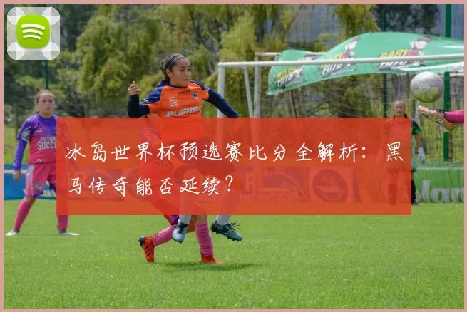冰岛世界杯预选赛比分全解析:黑马传奇能否延续?