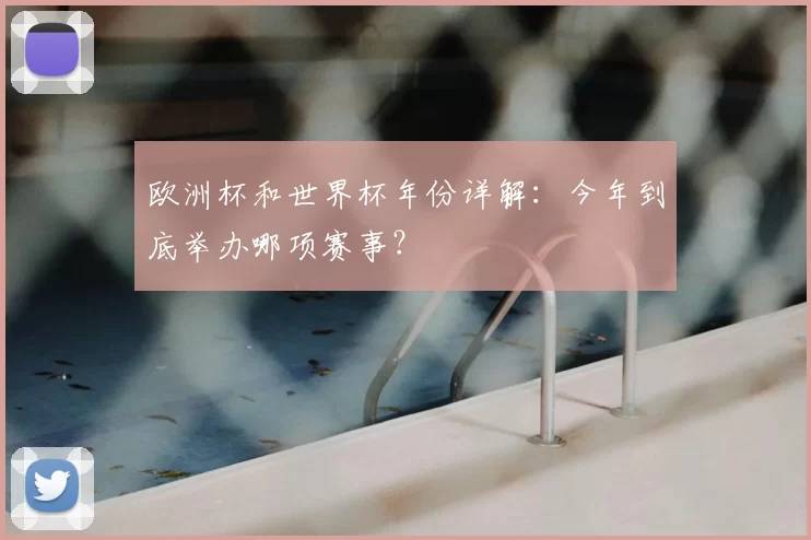 欧洲杯和世界杯年份详解：今年到底举办哪项赛事？