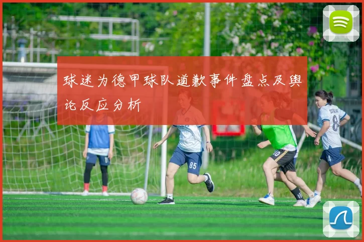 球迷为德甲球队道歉事件盘点及舆论反应分析