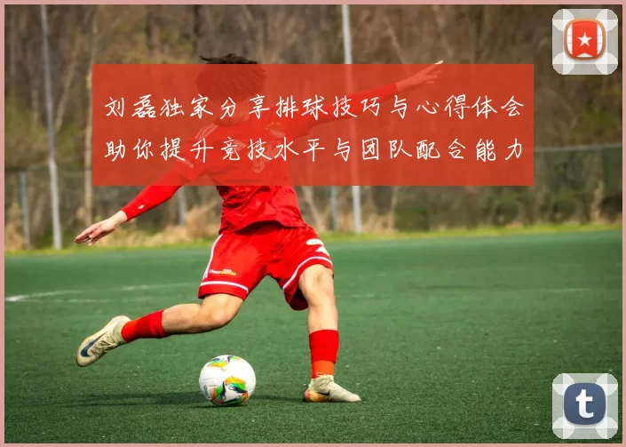 刘磊独家分享排球技巧与心得体会助你提升竞技水平与团队配合能力