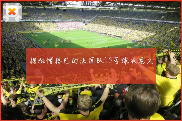 揭秘博格巴的法国队15号球衣意义
