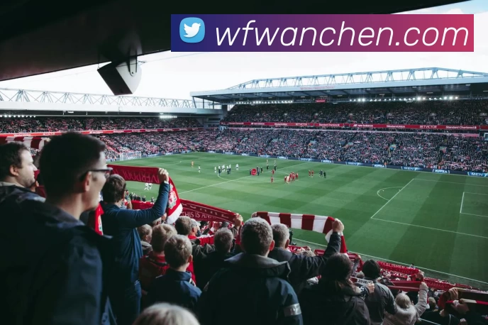 华体会app全站App